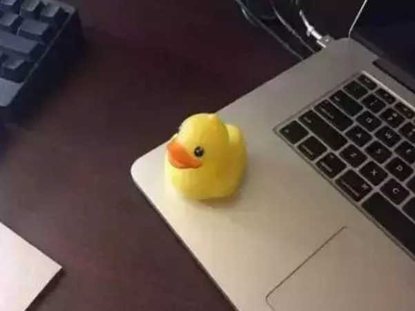 每個(gè)程序猿都應(yīng)該有一只鴨！