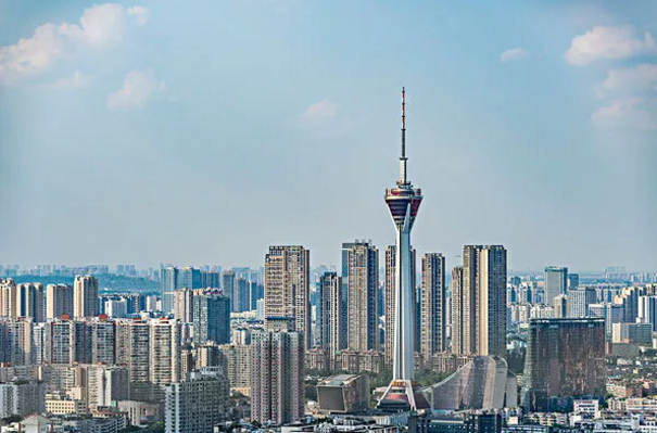 大四的你們，畢業(yè)后何去何從？