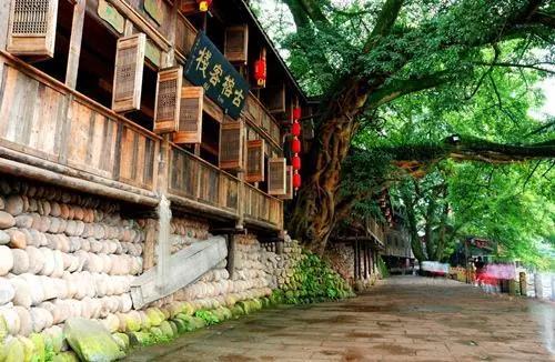 匯智動(dòng)力2019年秋季之旅