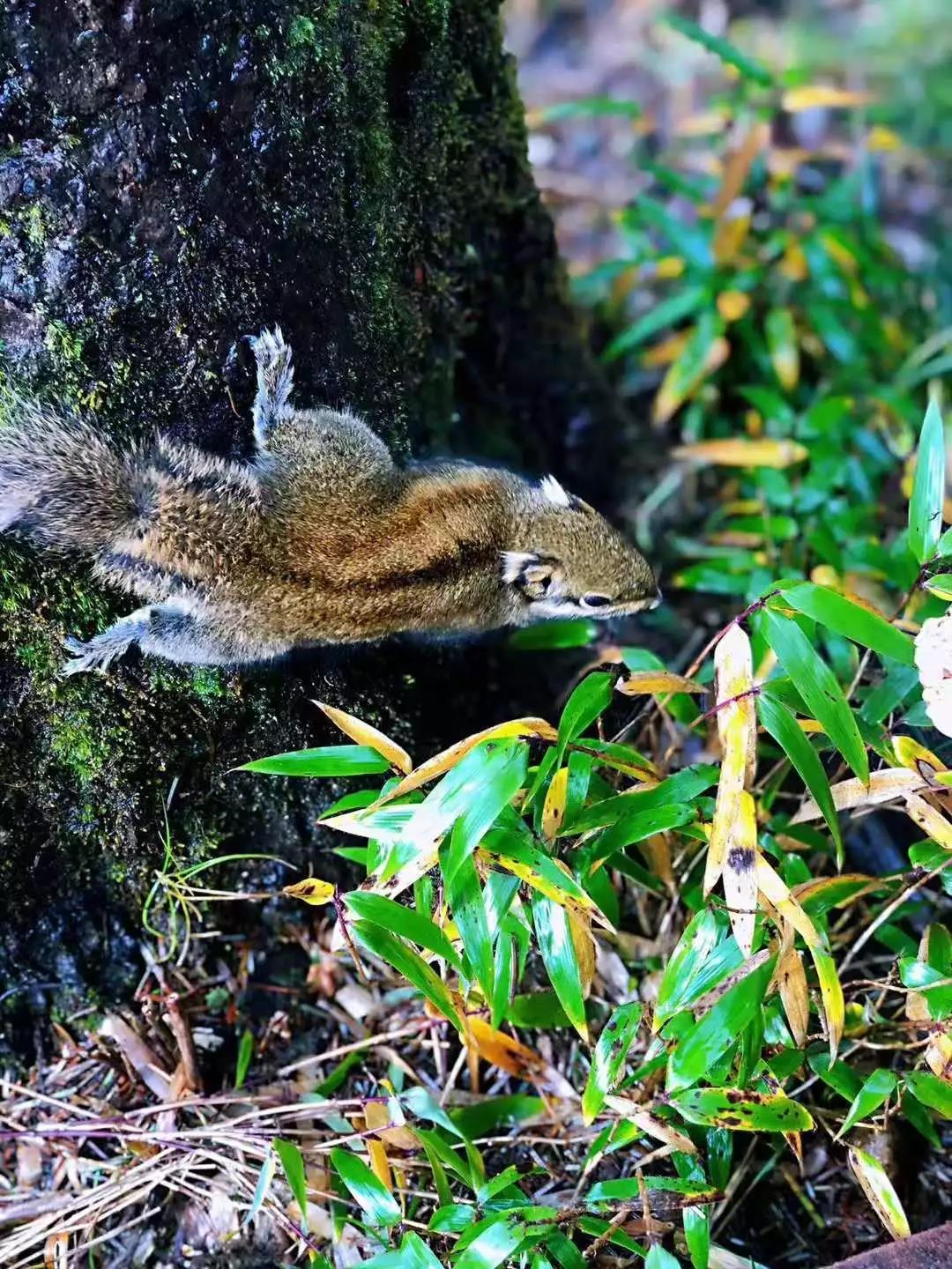 匯智動(dòng)力2019年秋季之旅