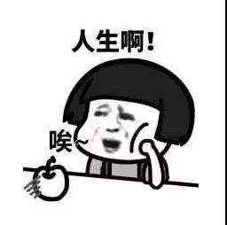 那個失業(yè)的張貓貓，他來了，他又來了