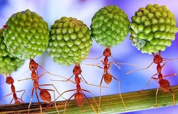 程序員的自我修養(yǎng)