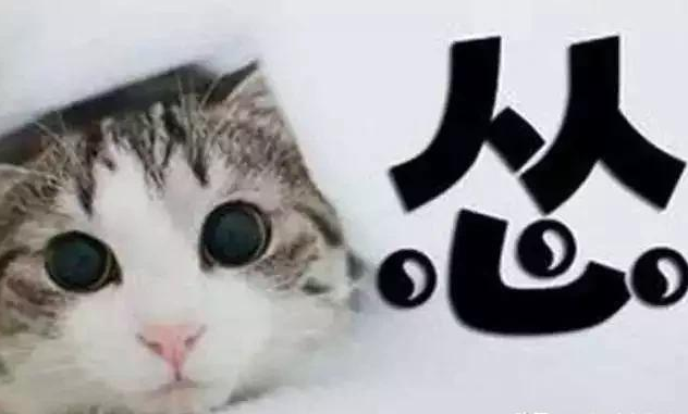 程序員的自我修養(yǎng)