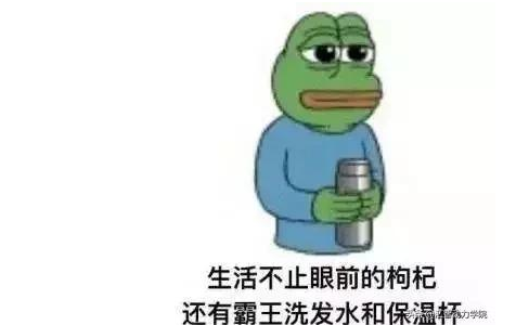 程序員的自我修養(yǎng)