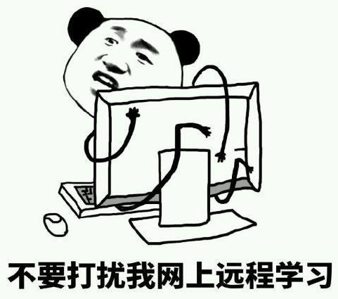 編程新手如何快速提高開發(fā)能力