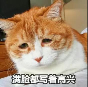 尋找程序員的祖師爺