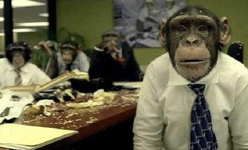 大齡程序員it男