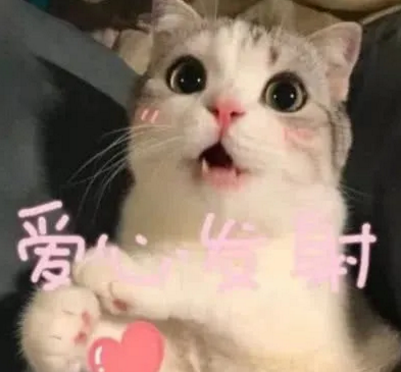 程序員的項(xiàng)目經(jīng)歷