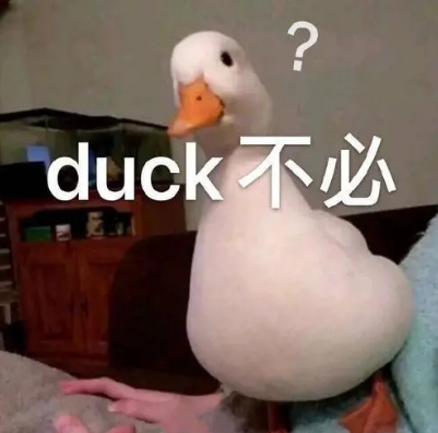 程序員的項(xiàng)目經(jīng)歷